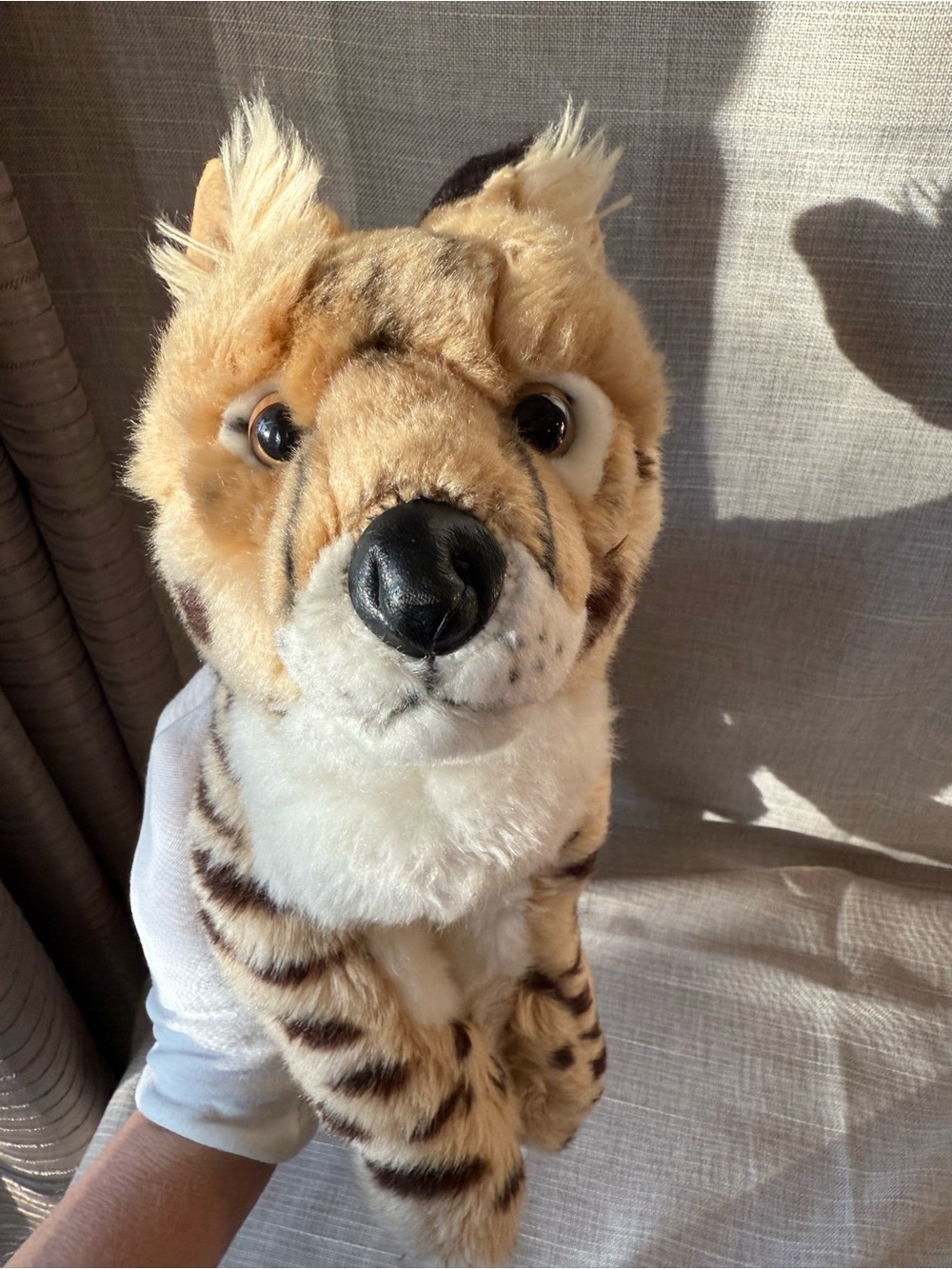 2017 SOS Save Our Space Serval Plush Rare Discounted – Collectible Big Cat - Picture 11 of 16